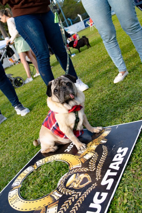 Foto do Pugnic 2026